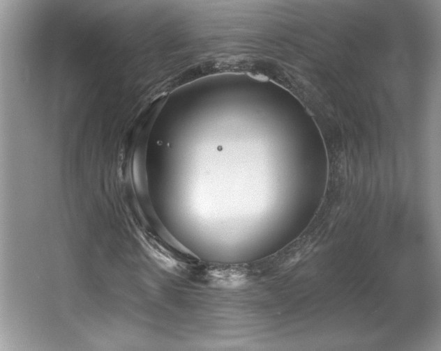 X0000067940914200604131445