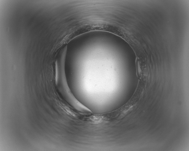 X0000067940916200604131445