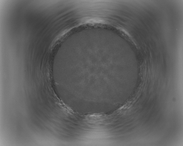 X0000067940919200604131445