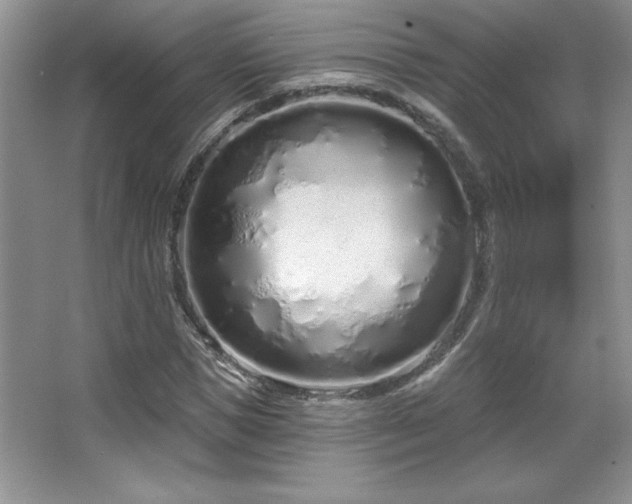 X0000067940921200604131445