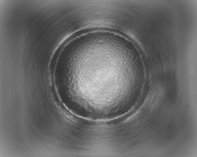 X0000067940925200604131445