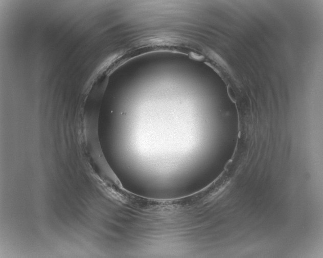X0000067940930200604131445
