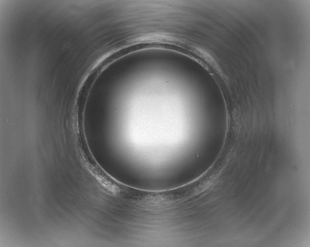 X0000067940931200604131445