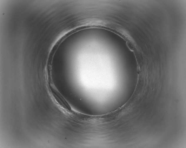 X0000067940936200604131445