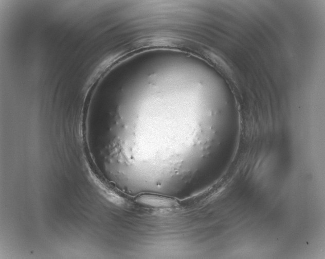 X0000067940938200604131445