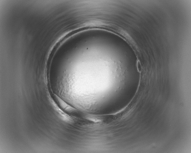 X0000067940939200604131445