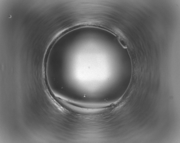 X0000067940940200604131445