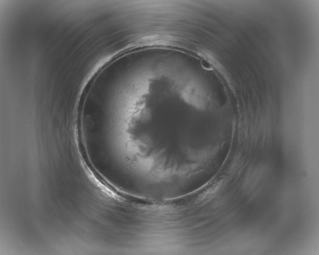 X0000067940941200604131445