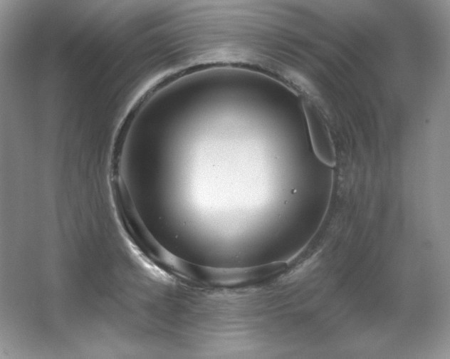 X0000067940942200604131445