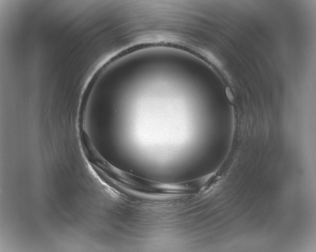 X0000067940943200604131445