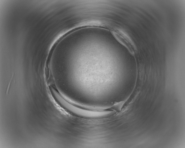 X0000067940944200604131445