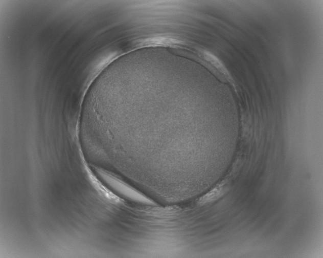 X0000067940946200604131445