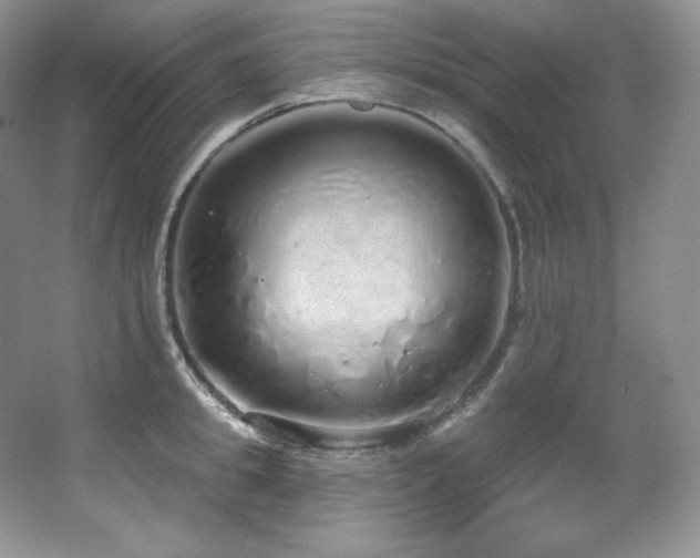 X0000067940949200604131445