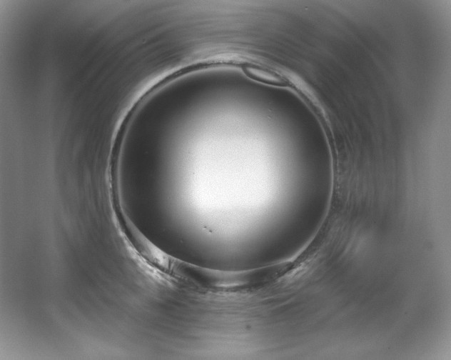 X0000067940951200604131445