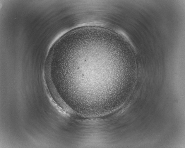 X0000067940952200604131445