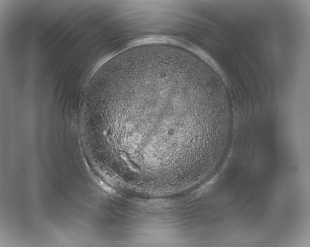 X0000067940953200604131445
