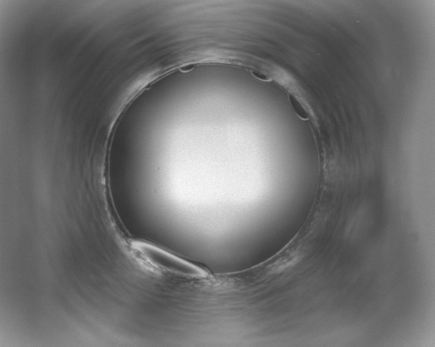 X0000067940954200604131445