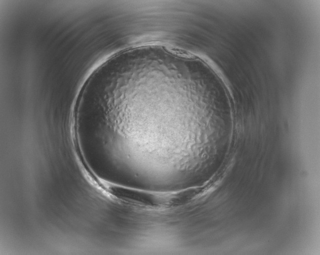 X0000067940957200604131445