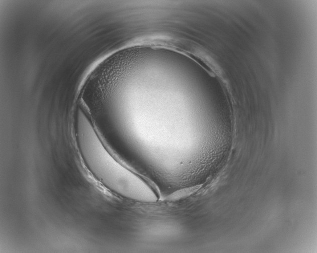 X0000067940960200604131445