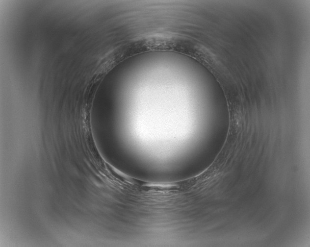 X0000067940964200604131445