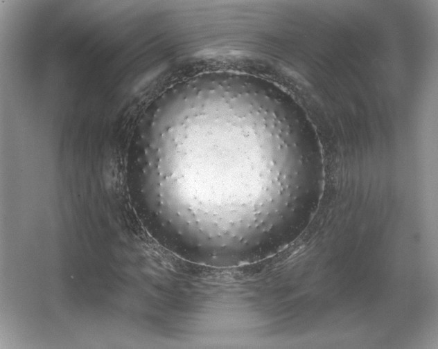 X0000067940966200604131444