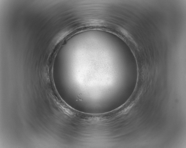 X0000067940970200604131444