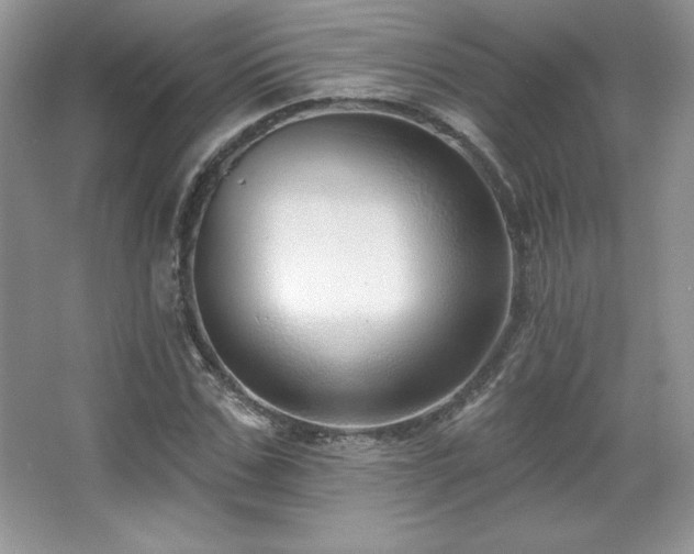 X0000067940971200604131444