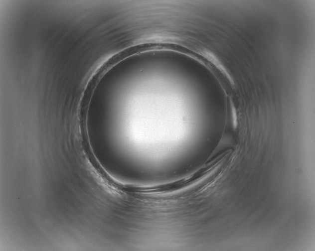 X0000067940972200604131444