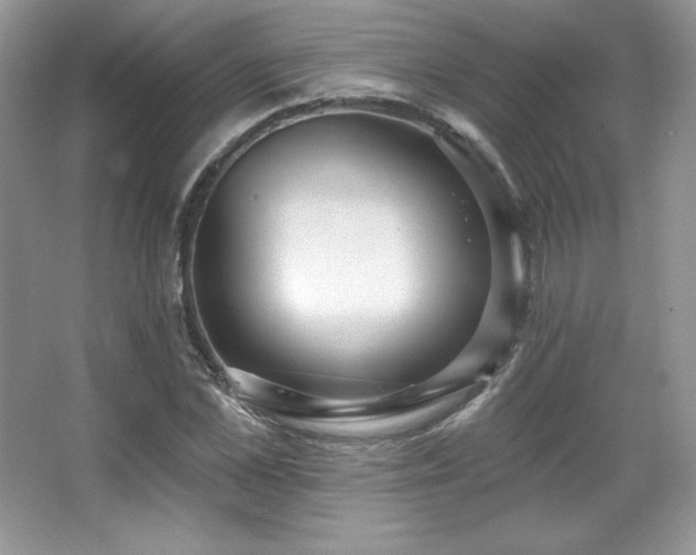 X0000067940973200604131444