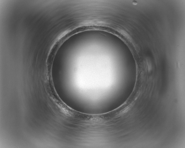 X0000067940974200604131444
