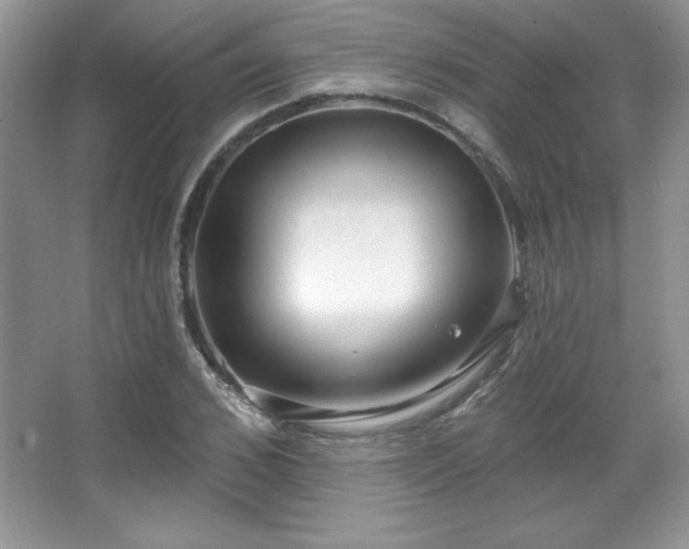 X0000067940976200604131444