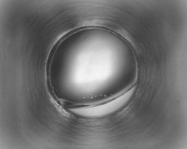 X0000067940980200604131444