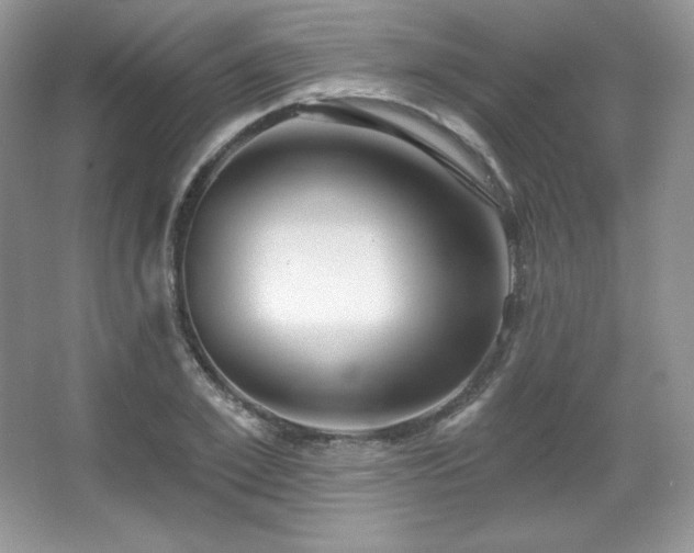 X0000067940981200604131444