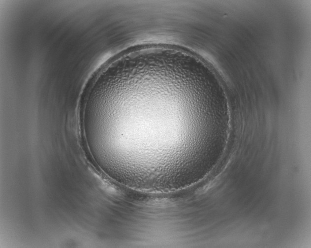 X0000067940982200604131444