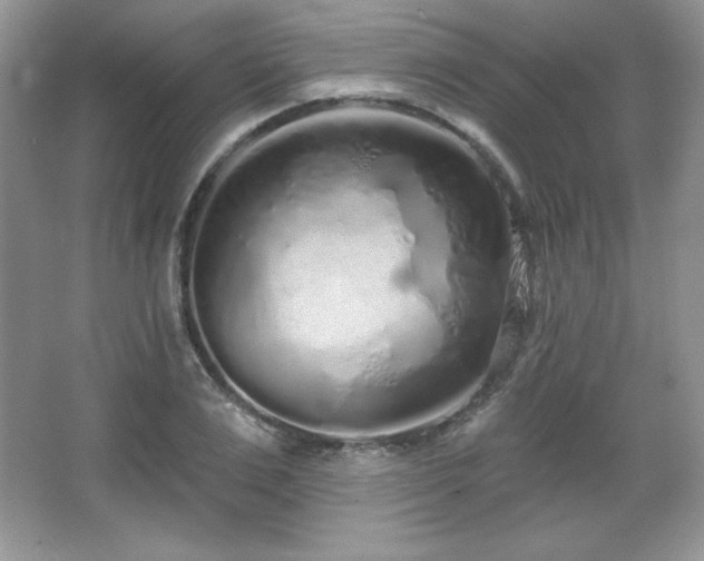 X0000067940983200604131444