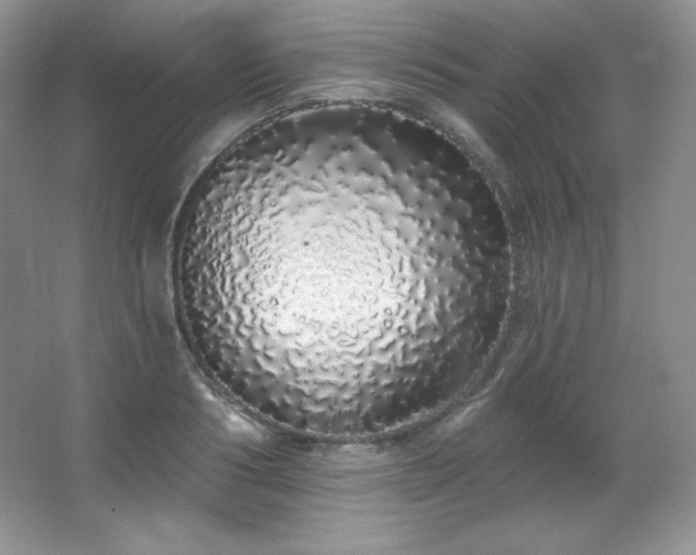 X0000067940986200604131444