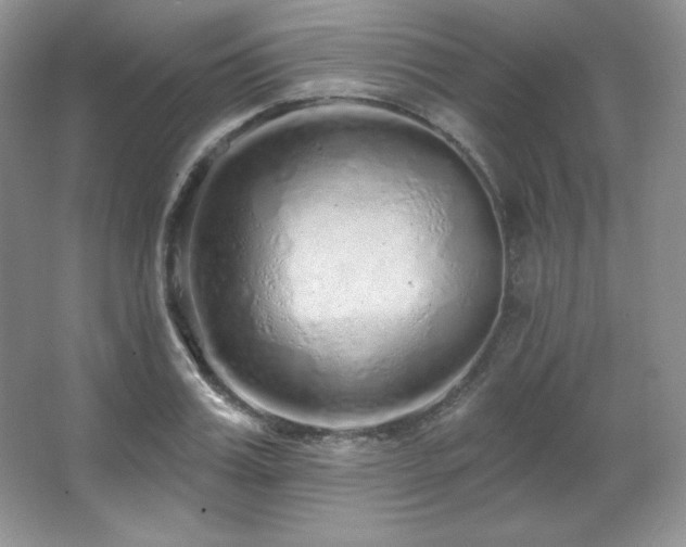 X0000067940987200604131444