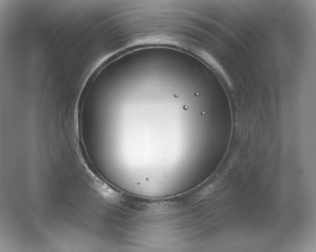 X0000067940988200604131444
