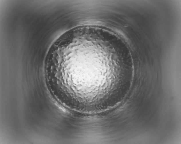 X0000067940990200604131444