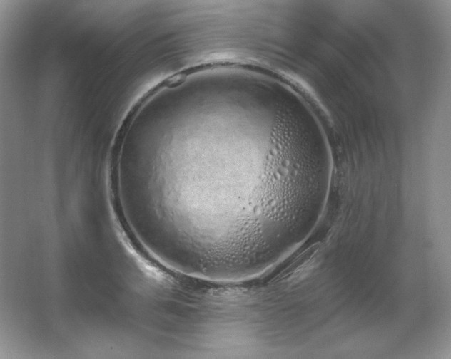 X0000067940991200604131444