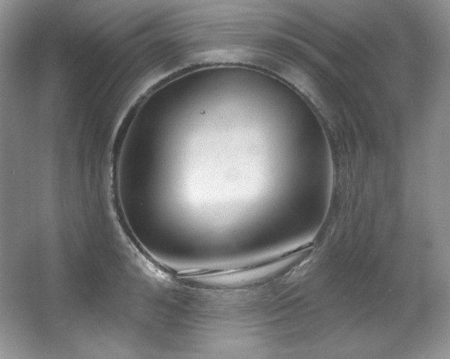 X0000067940992200604131444