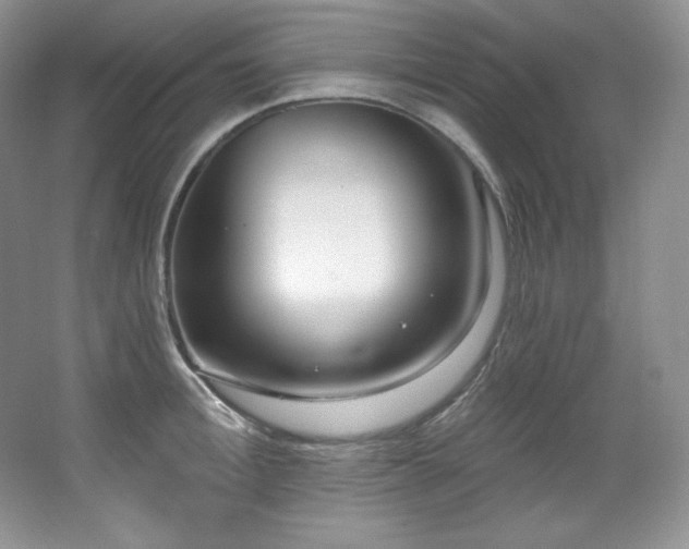 X0000067940996200604131444