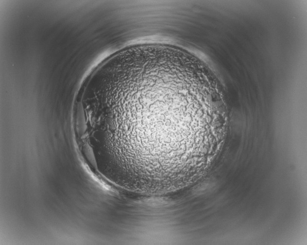 X0000067940998200604131444