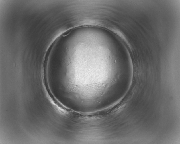 X0000067940999200604131444