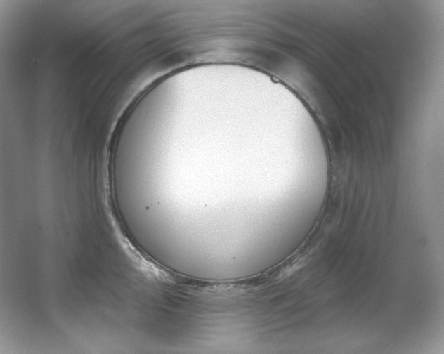 X0000067941000200604131444