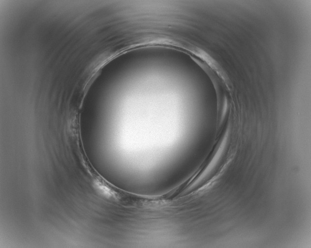 X0000067941001200604131444