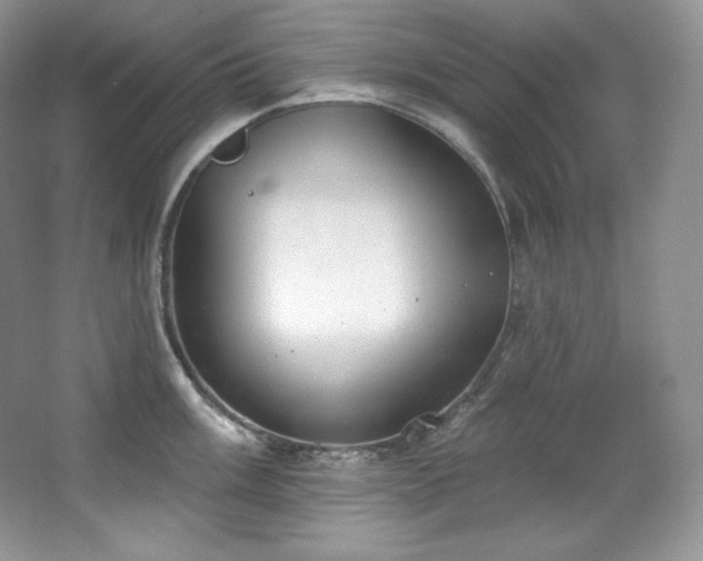 X0000067941003200604131444