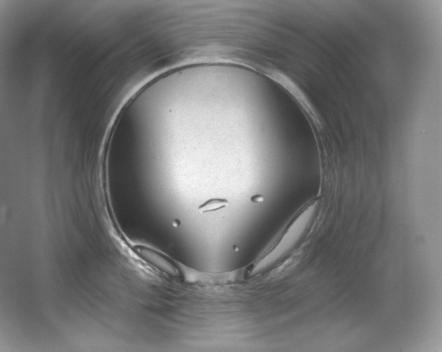 X0000067941004200604131444