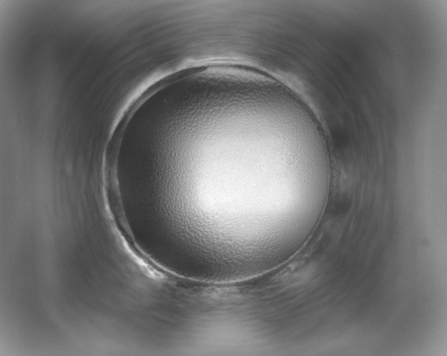 X0000067941006200604131444