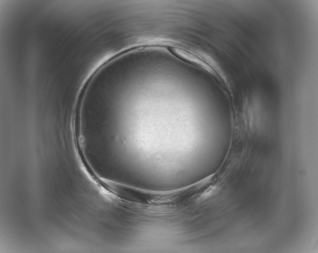 X0000067941007200604131444